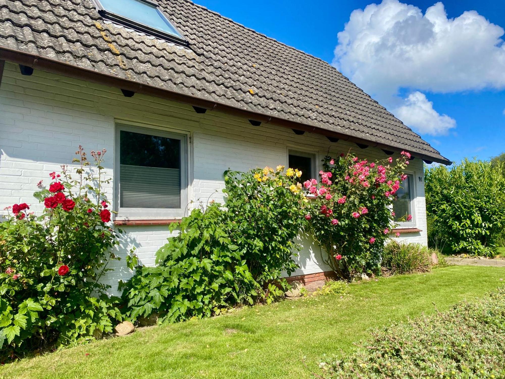 Ferienhaus Sutje Loose Экстерьер фото